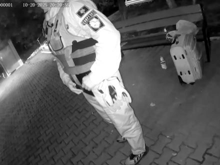 Главное – не трогать! Главное – не трогать!