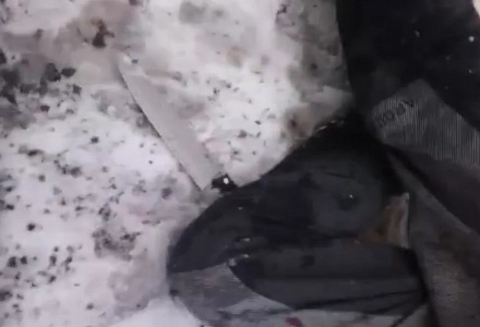 Нападавший, вооружённый ножом, задержан