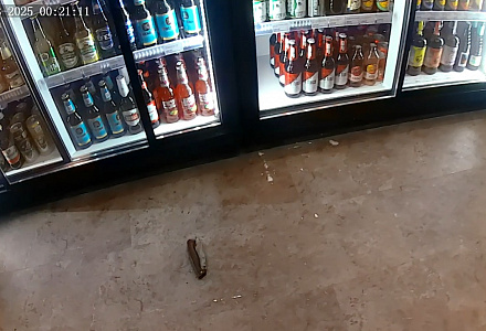 Нападавший с ножом задержан